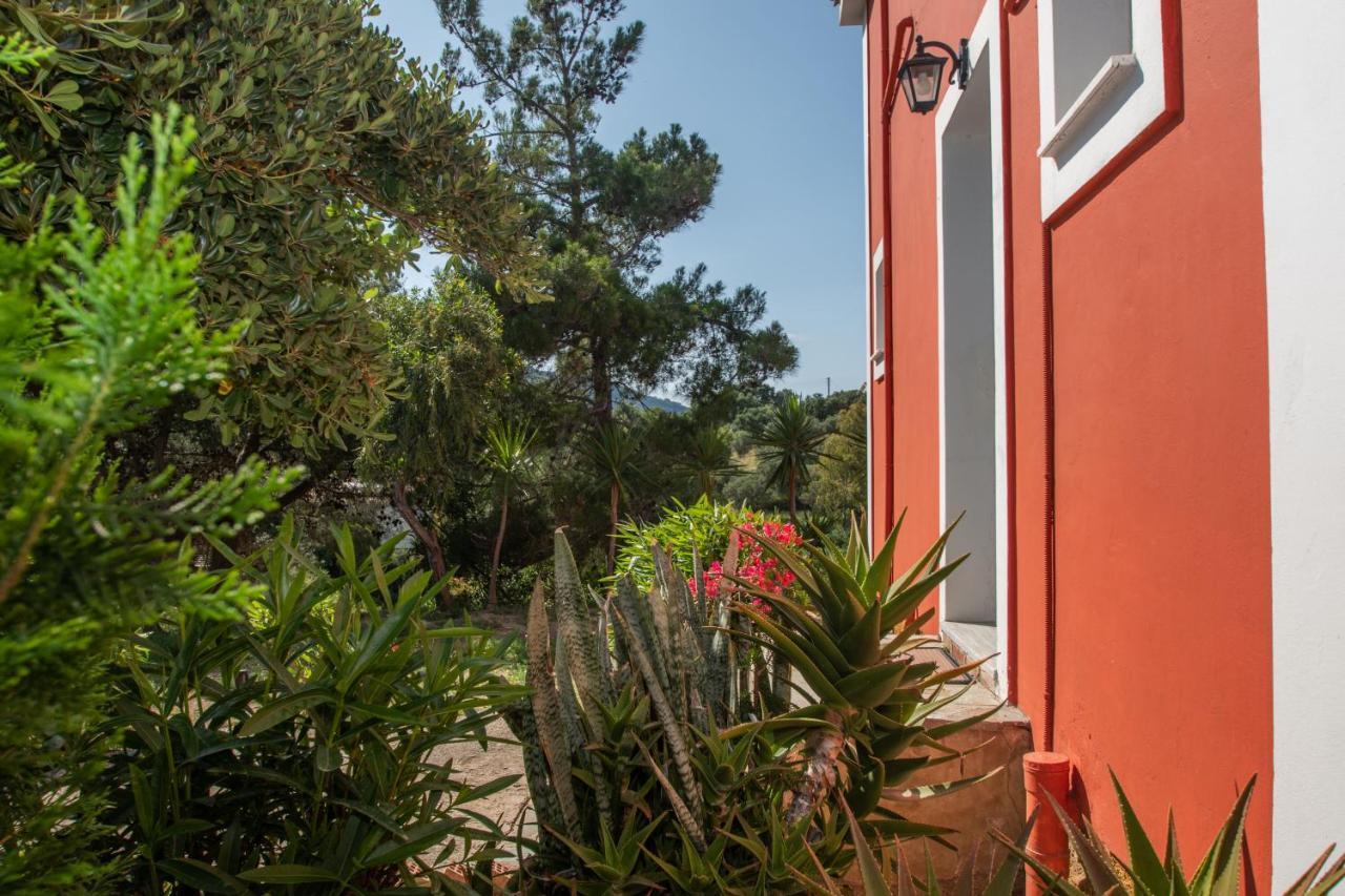 Arpyia Διαμέρισμα Ανω Βασιλικος Εξωτερικό φωτογραφία